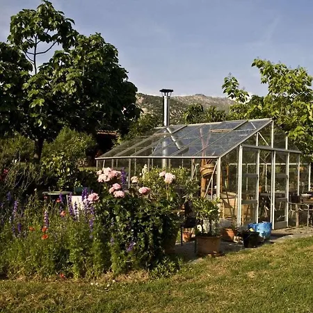 Tatil Evi With 1 Bedroom