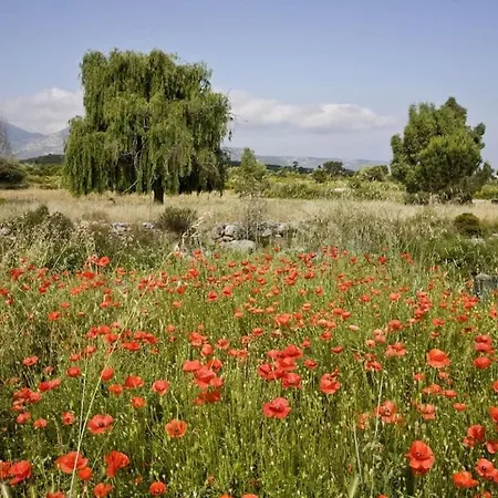 With 1 Bedroom Holiday home *