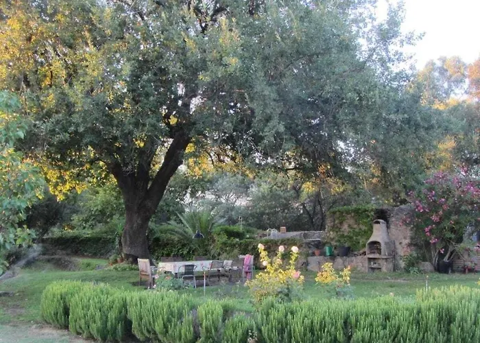 Holiday home With 1 Bedroom Montegrosso