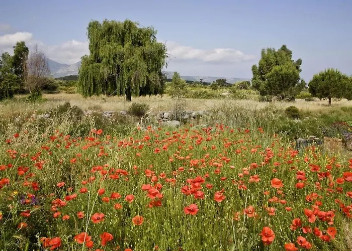 With 1 Bedroom Semesterbostad *